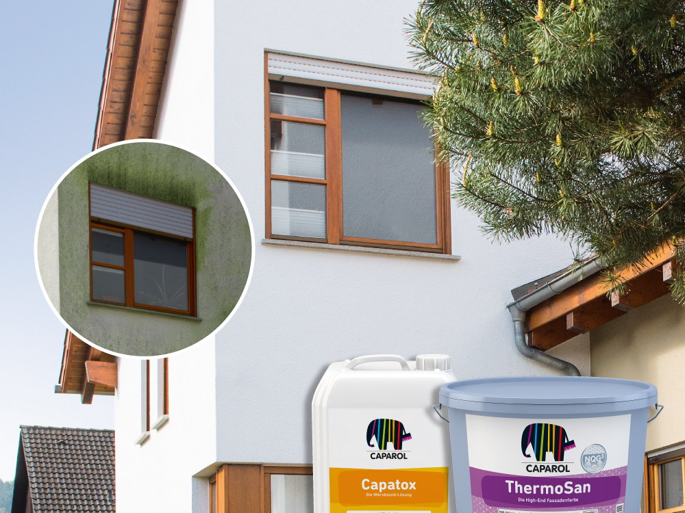 Fasādes aizsardzība